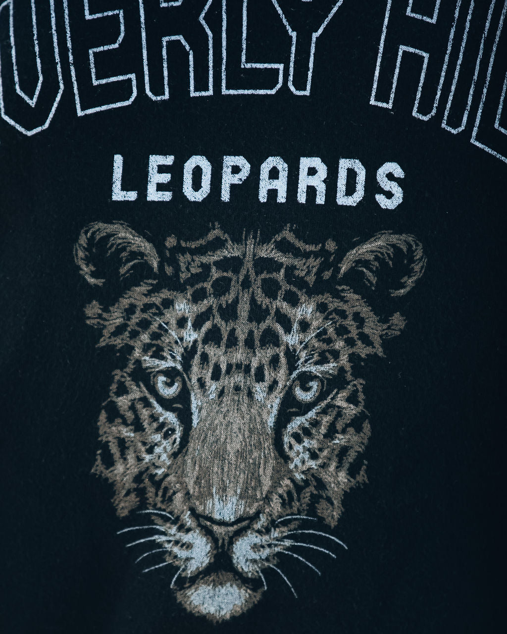 Soft Knit Beverly Hills Leopard Pullover